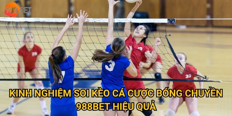 Vì sao cá cược bóng chuyền tại 988Bet lại trở thành xu hướng? 3 Kinh nghiệm soi kèo cá cược bóng chuyền 988Bet hiệu quả